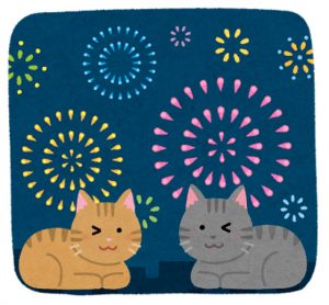 猫と花火